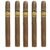 PACK OF 5