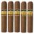 PACK OF 5