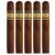 PACK OF 5