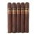 PACK OF 5