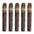 PACK OF 5
