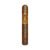 CIGAR
