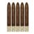PACK OF 5