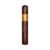 CIGAR