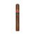 CIGAR
