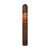 CIGAR