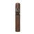CIGAR