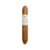 CIGAR