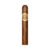 CIGAR