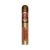 CIGAR
