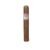 CIGAR