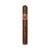 CIGAR