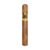 CIGAR