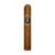 CIGAR