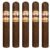 PACK OF 5