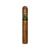 CIGAR
