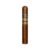 CIGAR