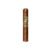 CIGAR
