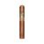 CIGAR