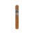 CIGAR