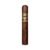 CIGAR